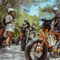 Bike Rentals