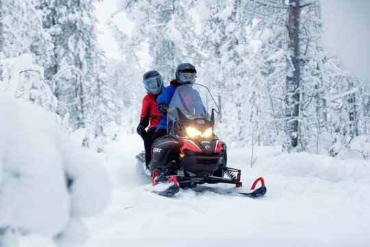Snowmobile Tour with Small Group in Remote Wilderness 3 Hours