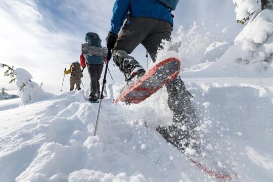 Snowshoe experience Rovaniemi
