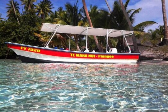 Half day excursion Tahaa - departure Raiatea / ideal cruise line