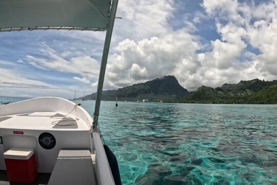Private Lagoon Exploration and Snorkeling in Moorea