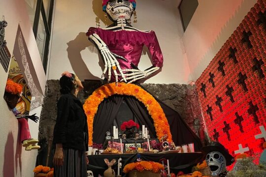 Tour cultural e inmersivo en Casa Dia de Muertos