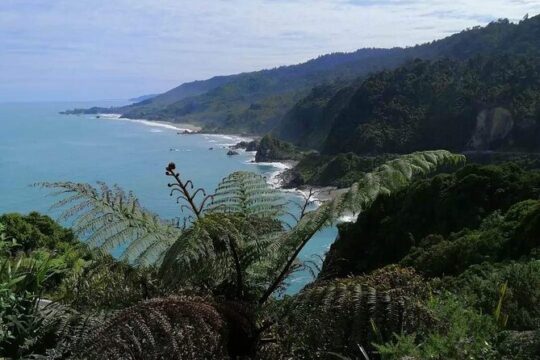 Full Day Tour of the Sights and Tastes of the West Coast