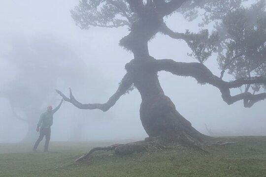 West of Madeira - Private full-Day Tour