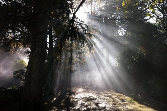 Sintra & Cabo da Roca Private Tour