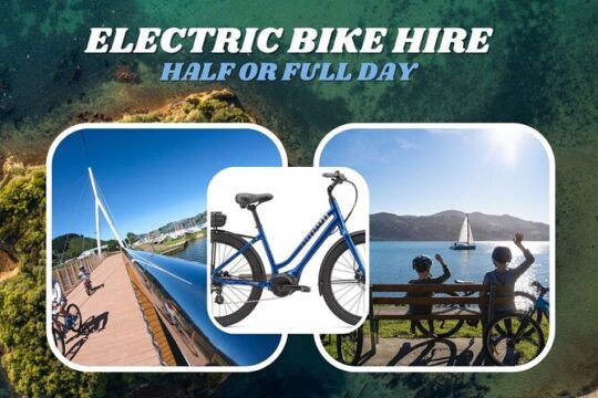 Electric Bike Rental