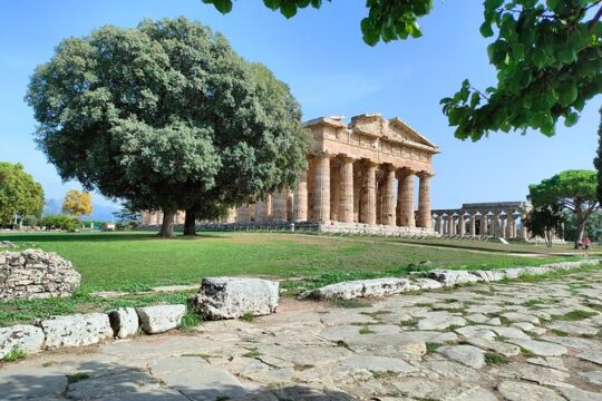 Paestum Traditions, Buffaloes, Ceramics, Temples