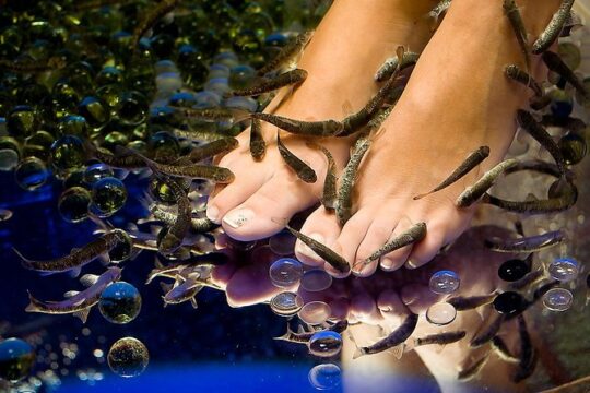 90-Minute Aroma Oil Massage plus 20' min Free Fish Pedi