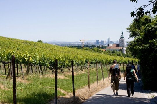 Private Day Trip to The Village of Grinzing from Vienna with a local