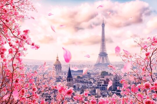 Private Transfer From Amsterdam to Paris
