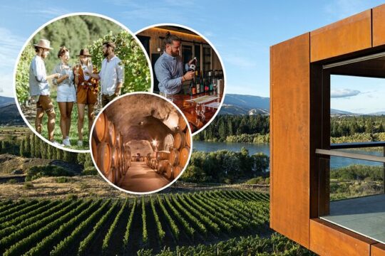 Central Otago Wine Tour with Wine Dog | Adults Only