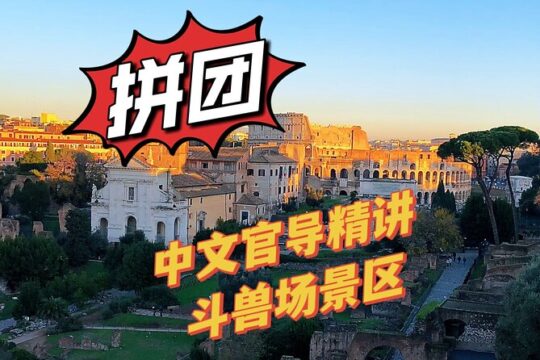 Colosseum Guided Tour in Chinese with Roman Forum and Palatine Hill