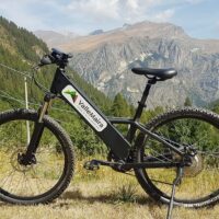 Bike Rentals