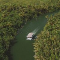 Cruises, Sailing & Water Tours