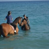 Horseback Riding
