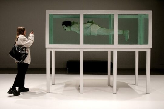 Flexible Admission to the Museum of Forbidden Art
