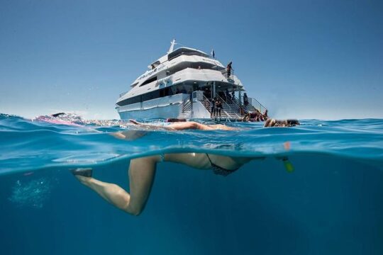 Cairns Super Saver: Reef Cruise, Daintree & Kuranda Rail/Skyrail