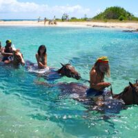 Shore Excursions