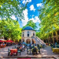 Day Trips & Excursions