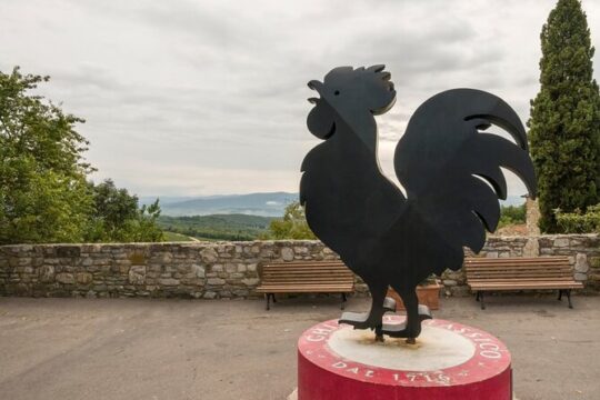 Private Full Day Tour in Chianti