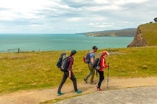 Guided Walking Tour & Scenic Drive form Christchurch - Lyttelton & Godley Head