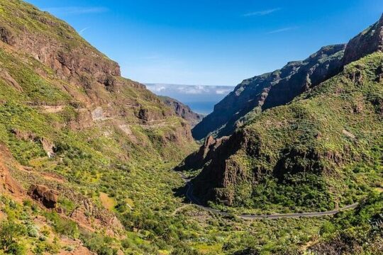 Firgas Tejeda Guayadeque VIP Tour Gran Canaria
