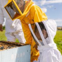 Sustainable Tours