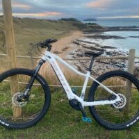 Bike Rentals