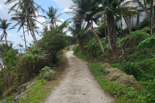 Barbados Ebike Day Rental(24 hours)