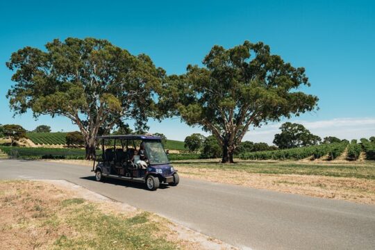 EcoVine Explorer Vineyard E-Cart Tours
