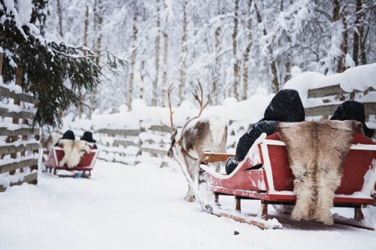 Husky and Reindeer Farm Visit With Snowmobiling