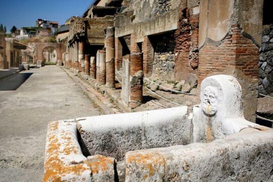 Pompeii Ruins: Day Trip from Naples with skip the line ticket