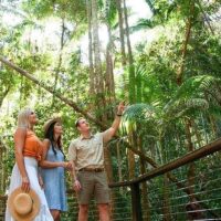 Audio Guided Tours