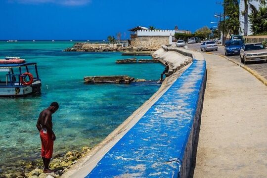 Montego Bay Experience with Souvenir Shopping & Private Beach
