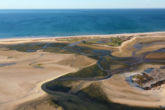 Ria Formosa & Ilhas: Private Tour for Two or in Group