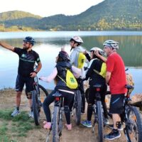 Bike Rentals