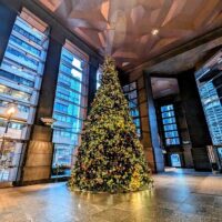 Holiday & Seasonal Tours