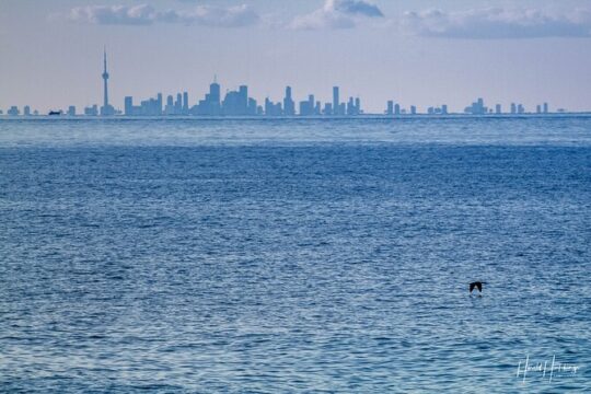 Transfer Niagara-on-the-Lake Canada to Toronto Pearson International Airport YYZ