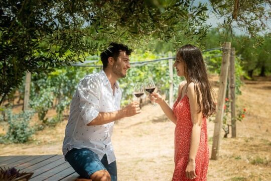 Olive Oil and Premium Wine Tour with Cretan Lunch