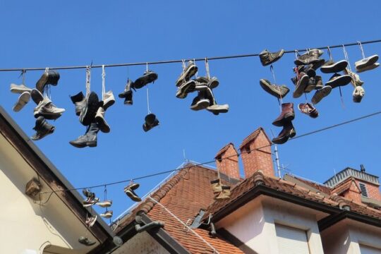 Explore Ljubljana’s Art and Culture with a Local