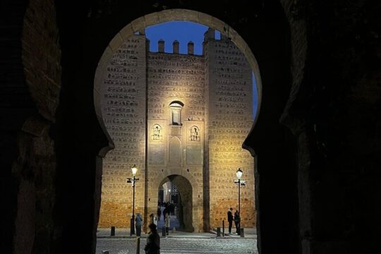 Private Daytrip to Toledo from Madrid By Train