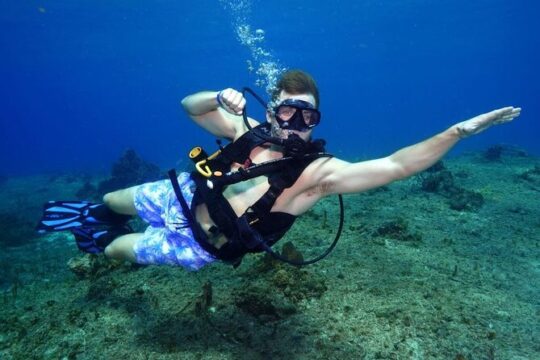 1 Tank Shore Dive