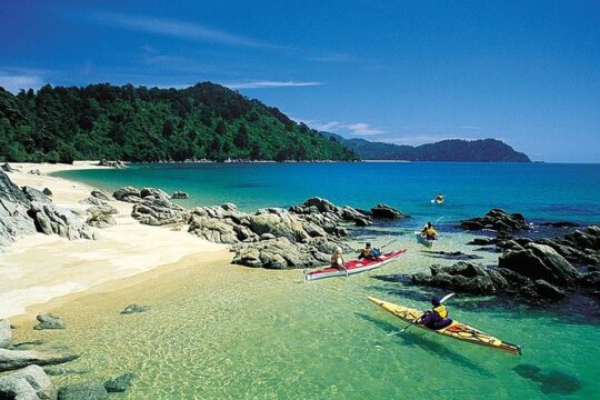 Remote Marine Reserve - Guided Kayaking - New Zealand
