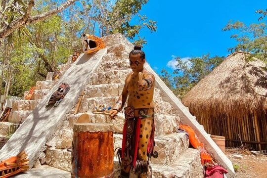 Half Day Private Jungle All Inclusive Tour in Cozumel