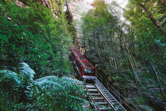 Blue Mountains Adventure with Scenic World, Falls and Zoo