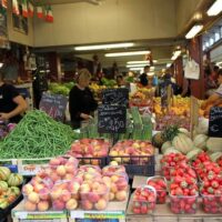 Wine Tasting & Winery Tours