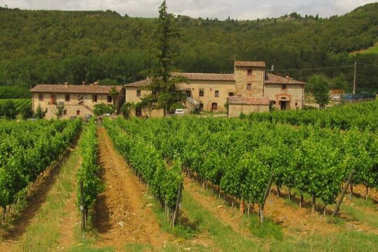 Chianti Day trip from Florence