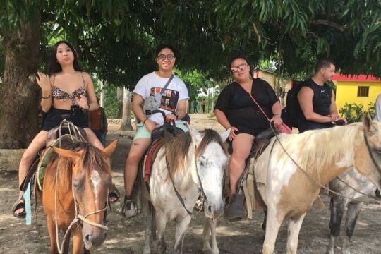 Horseback Ride Experience from Punta Cana with Hotel Pick-up