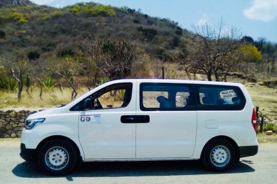 Private Transfer from the Airport to your Hotel/house .