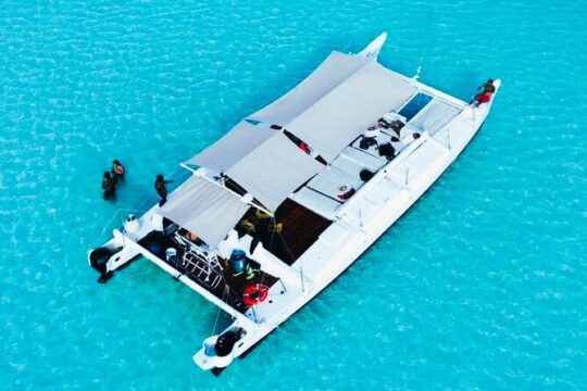 Catamaran Snorkel Adventure to El Cielo and The Money Bar